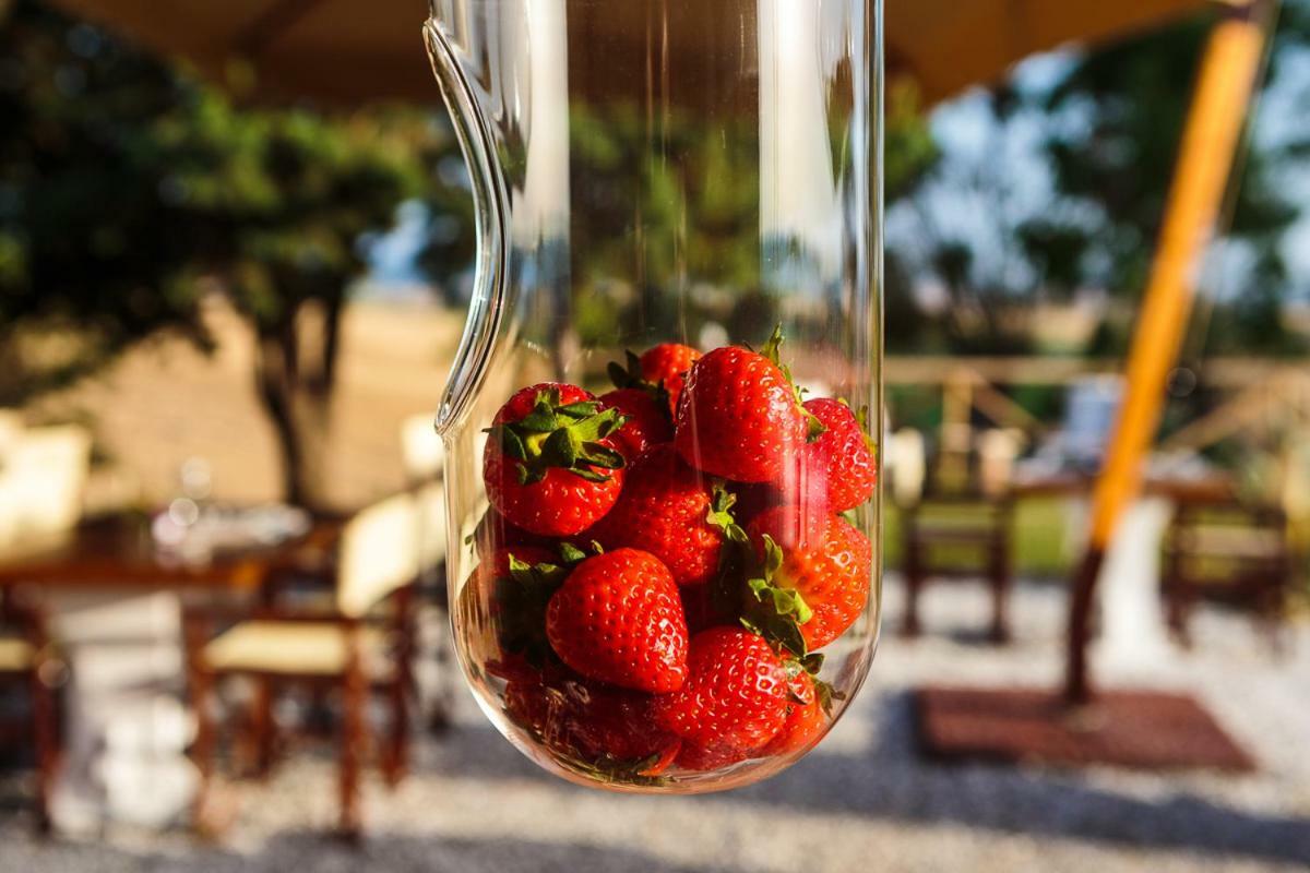 Il Montelletto Bed and Breakfast Santa Luce Εξωτερικό φωτογραφία